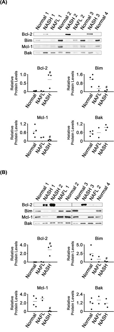 Figure 5: