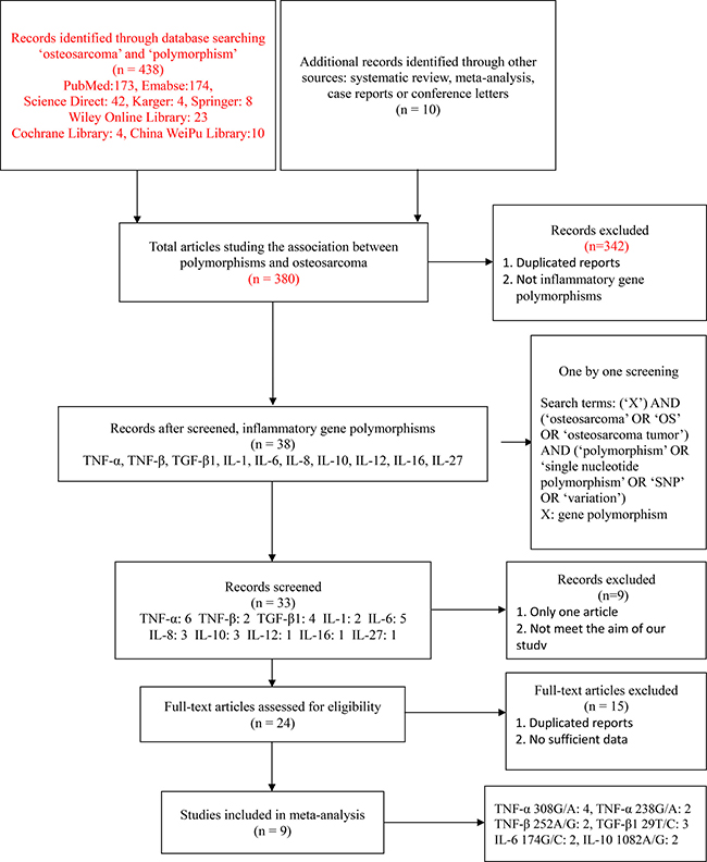 The study selection and inclusion process.