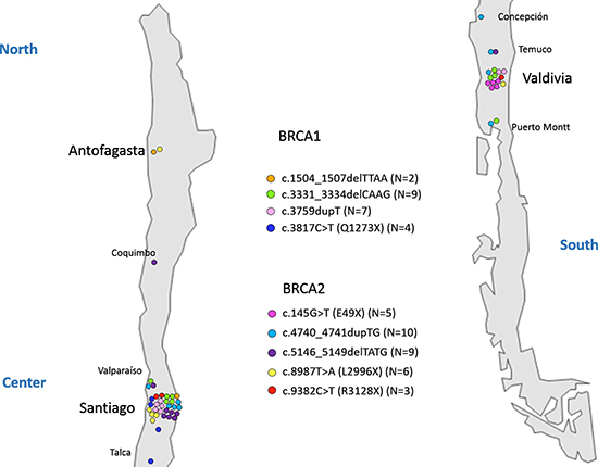 Geographical distribution of recurrent mutations.