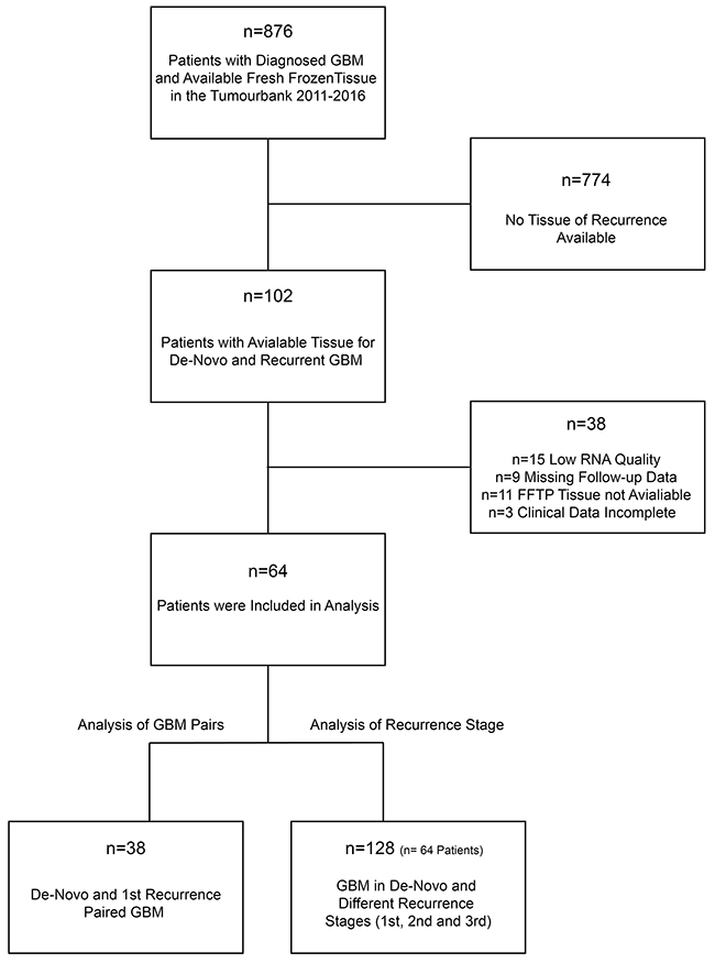 Workflow for study screening and patients recruitment.