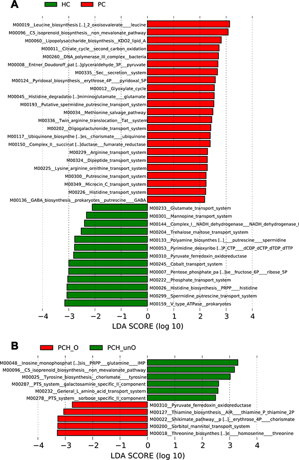 Functional prediction of microbial genes associated with PC using PICRUSt.