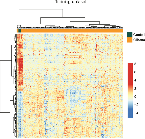 The heatmap of hierarchical clustering of differentially expressed lncRNAs between glioma samples and normal brain tissues in the training dataset.