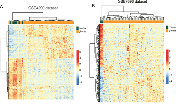 Validation of differentially expressed lncRNAs between glioma samples and normal brain tissues in the two testing datasets.