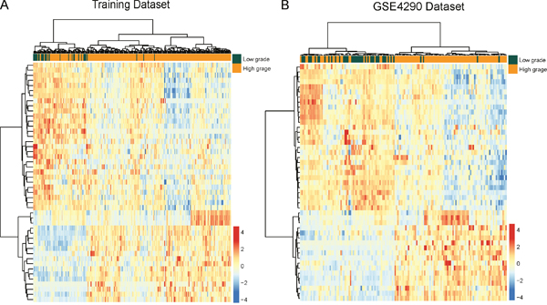 The heatmap of hierarchical clustering of differentially expressed lncRNAs between low-grade gliomas and high-grade gliomas.