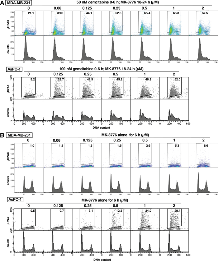 Comparison of the MK-8776 concentrations required to induce &#x03B3;H2AX either as a single agent or following S phase arrest induced by gemcitabine.