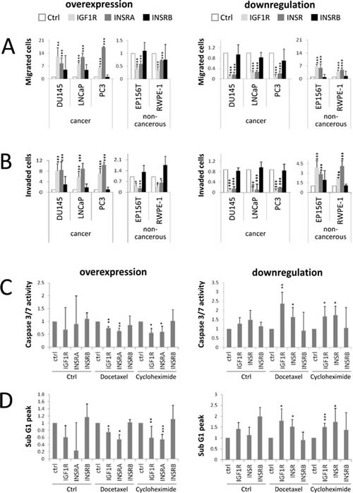 IGF1R/INSRA expression levels influence PCa cell migration, invasion and resistance to apoptosis.