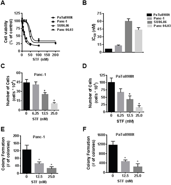 STF-118804 decreases pancreatic cancer cell survival and growth.