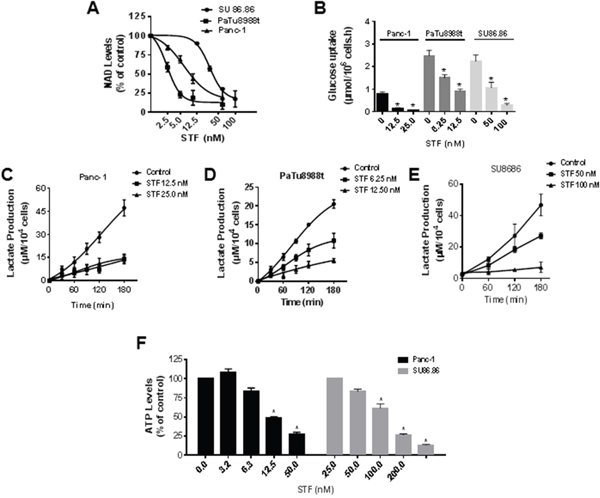 STF-118804 induces metabolic collapse in pancreatic cancer cells.