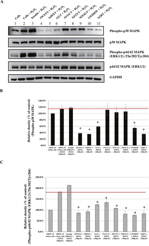 Effects of CHMs (JWXYS, SJHXT, GGT, SYGCT, XFZYT, MXSGT, LWDHW, and SZRT) on H2O2-treated ARPE-19 cells.