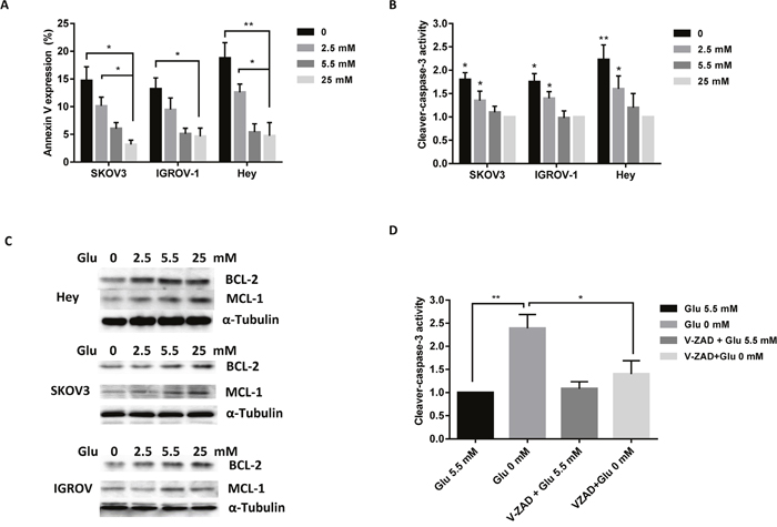 Depletion of glucose induces apoptosis in ovarian cancer cells.