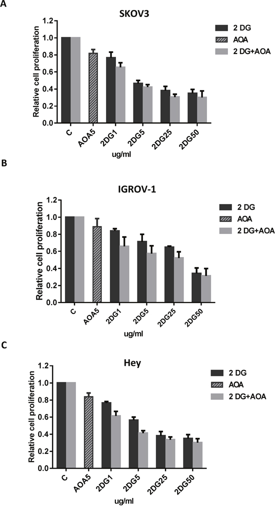 AOA increased sensitivity to 2-DG in inhibition of cell proliferation.