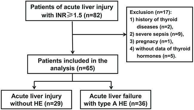 Flow chart for patients enrollment and evaluation.