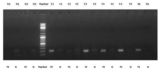 Fig.