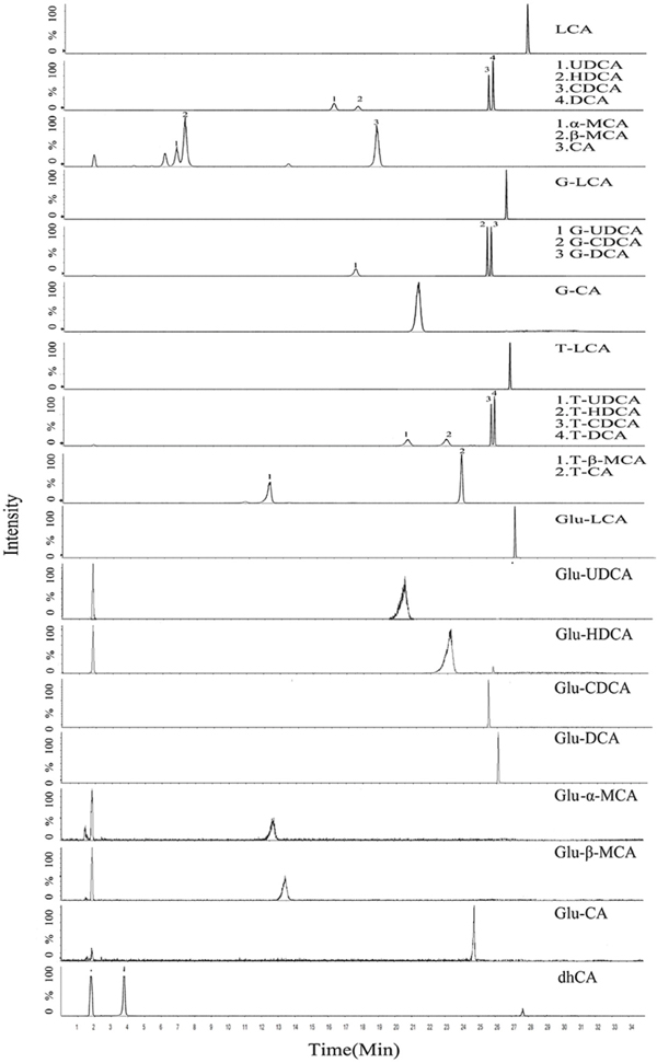 Representative chromatogram (XIC) of a mixure of BAs standards in serum matrix (free BAs, G-BAs, T-BAs, 250 ng/mL) including IS (50 ng/mL) and Glu-BAs products of in vitro incubation under the final chromatography and detection conditions