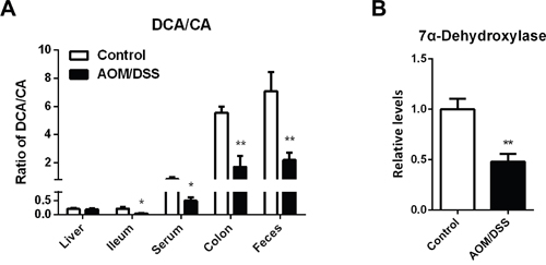 Specific accumulation of primary BAs in colon of CAC mice.
