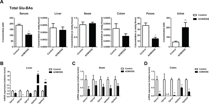 CAC mice showed dysregulated glucuronidation of BAs.