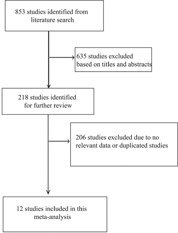 Literature search and study selection.