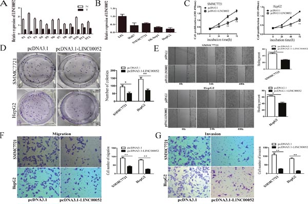 LINC00052 was downregulated in HCC and overexpression of LINC00052 inhibited HCC cell proliferation, migration and invasion in vitro.