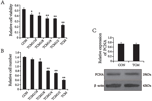 The effect of TCM on VSMC proliferation and the expression of PCNA.