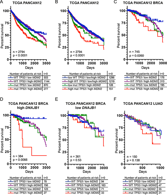 Cancer patients, with mutated TP53 and simultaneous elevation of MDM2, exhibit decreased survival rate post treatment.