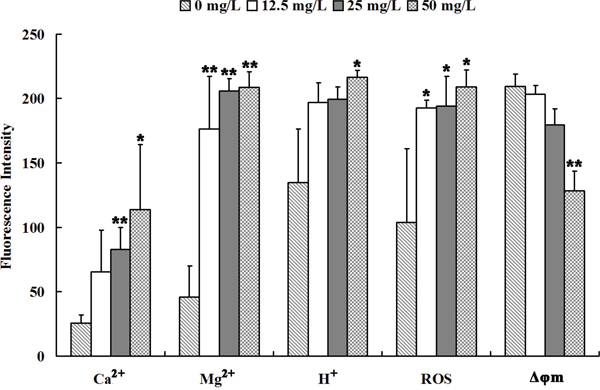 Se2Mo10V3 increased Ca2+, Mg2+, H+, and ROS levels and decreased &#x0394;&#x03C6;m in K562 cells in a CLSM experiment.