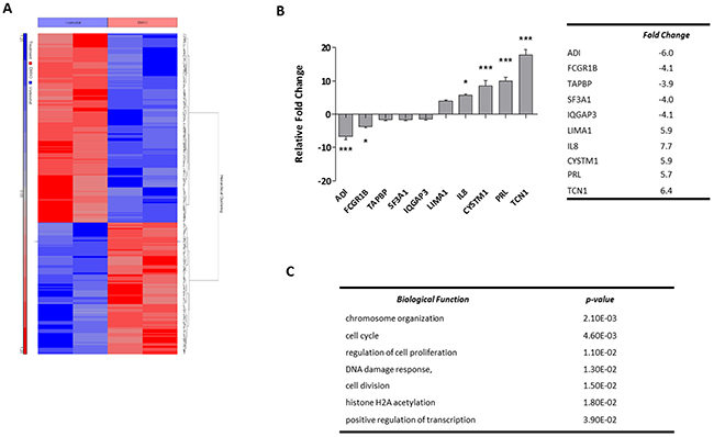 Profiling Vorinostat induced gene expression alterations in OCI-AML3 cells.