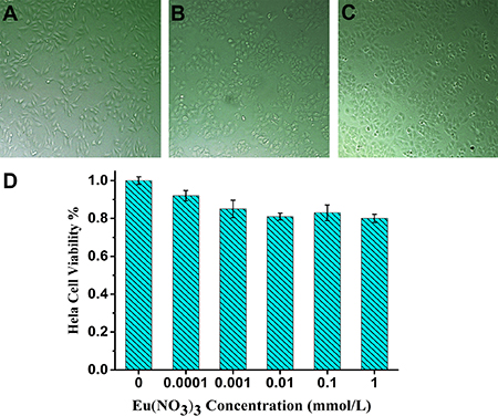 MTT assay assessment after incubation with various concentration of Eu(NO3)3 solutions for 24 h.