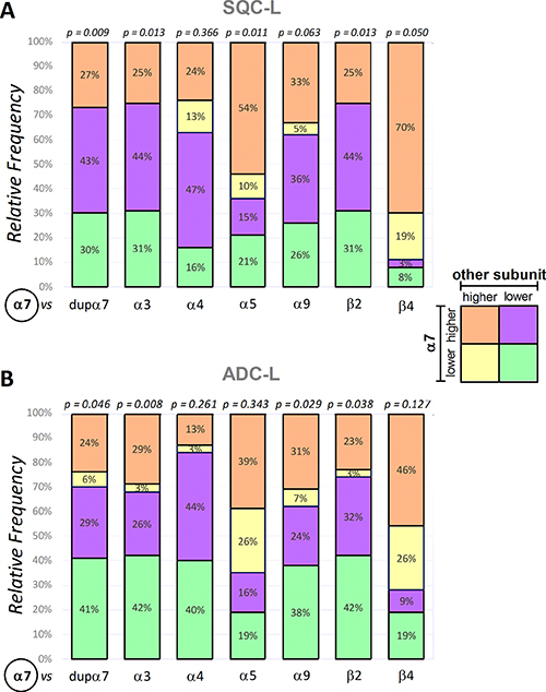 Frequency distribution of &#x03B1;7 expression versus expression of each of the remaining nAChR subunits in the SQC-L and ADC-L tumors.