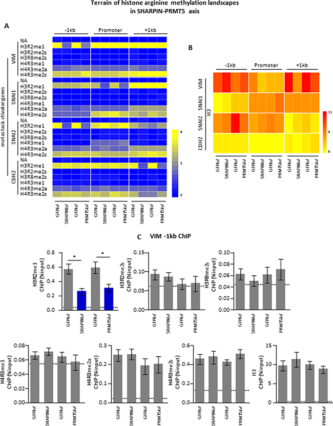 SHARPIN-PRMT5 controls a unique histone methylarginine code to regulate metastasis-related gene expression.