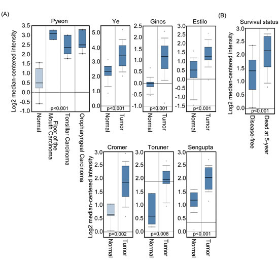 Aurora-A expression level is related to head and neck cancer.