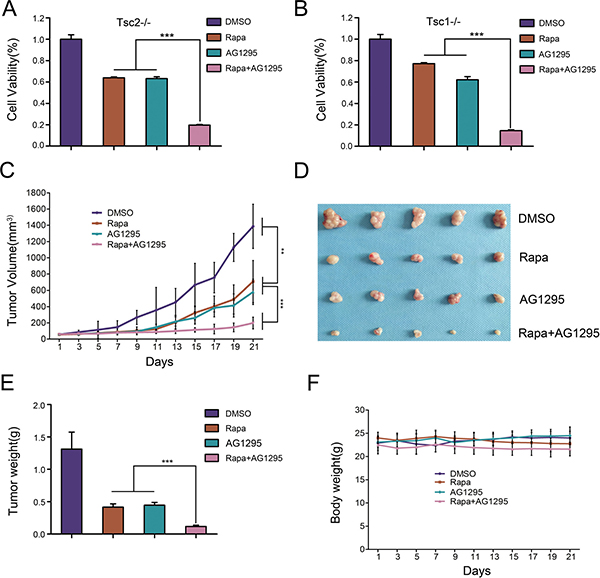 The combination of rapamycin and AG1295 more effectively suppresses the growth of cells lacking TSC1/TSC2 complex in vitro and in vivo than either agent alone.