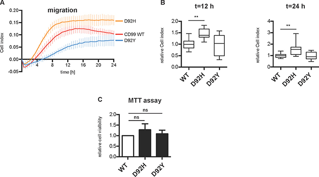 Overexpression of D92H variant increases cell migration in HeLa cells.
