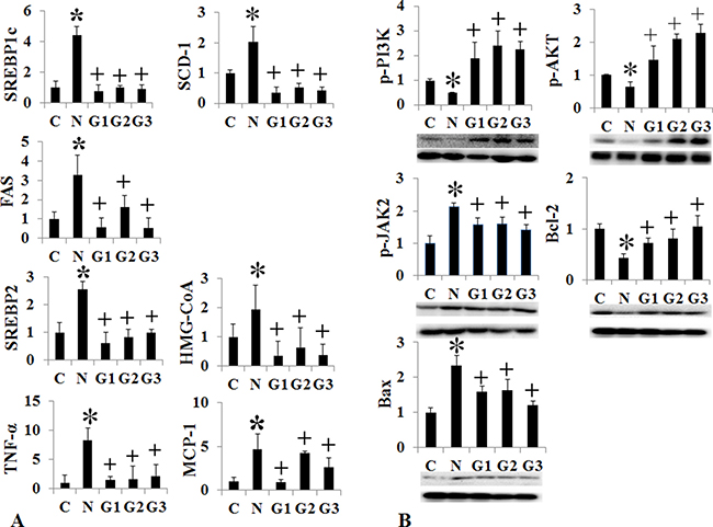 Changes of intrahepatic fat, cholesterol, inflammation, and apoptosis signal after conventional G-CSF treatment in high fat induced NAFLD model.