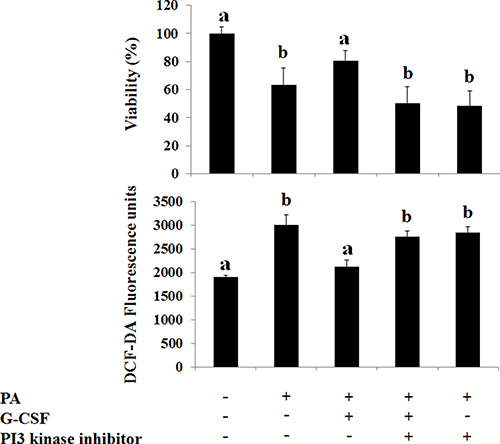 Effect of G-CSF and G-CSF inhibitor on cell viability, oxidative stress, G-CSFr expression on In Vitro lipotoxicity models.