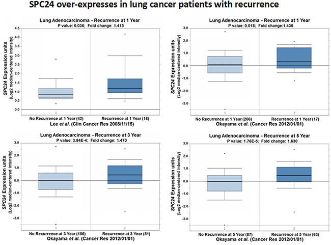 SPC24 over-expression is associated with lung tumors from patients with recurrence.