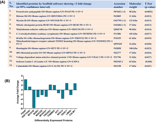 Effect of tenovin-1 on proteome changes in G361 cells.