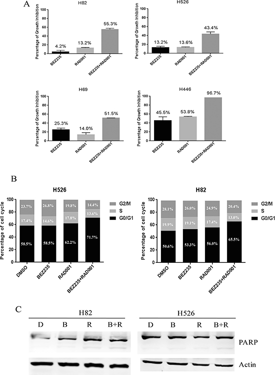 Figure 3: