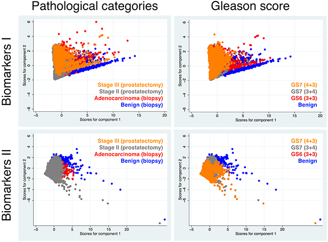 Comparative results of principle component analysis (with two components) for Biomarkers I and II according to clinical diagnoses (pathological categories or GS).