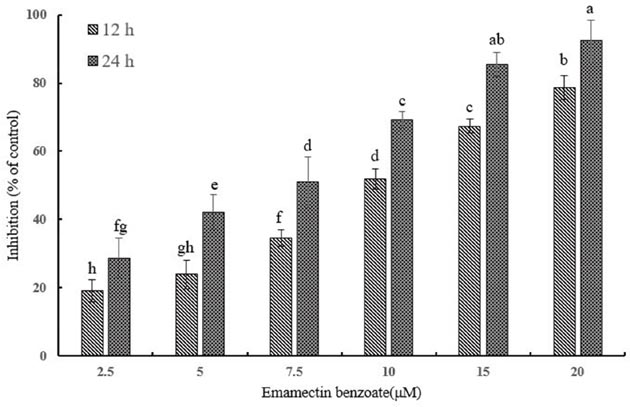 Cytotoxicity of EMB on QSG7701 cells.