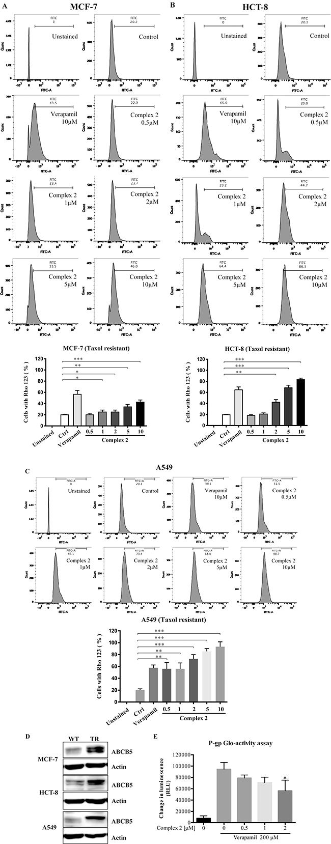 Cobalt complex 2 directly inhibits P-gp in Taxol-resistant cancer cells.