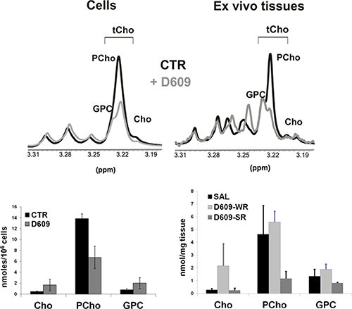 Changes induced on the total choline (tCho) metabolic profile of in vitro SKOV3.ip cells and their in vivo xenografts, upon treatment with D609.