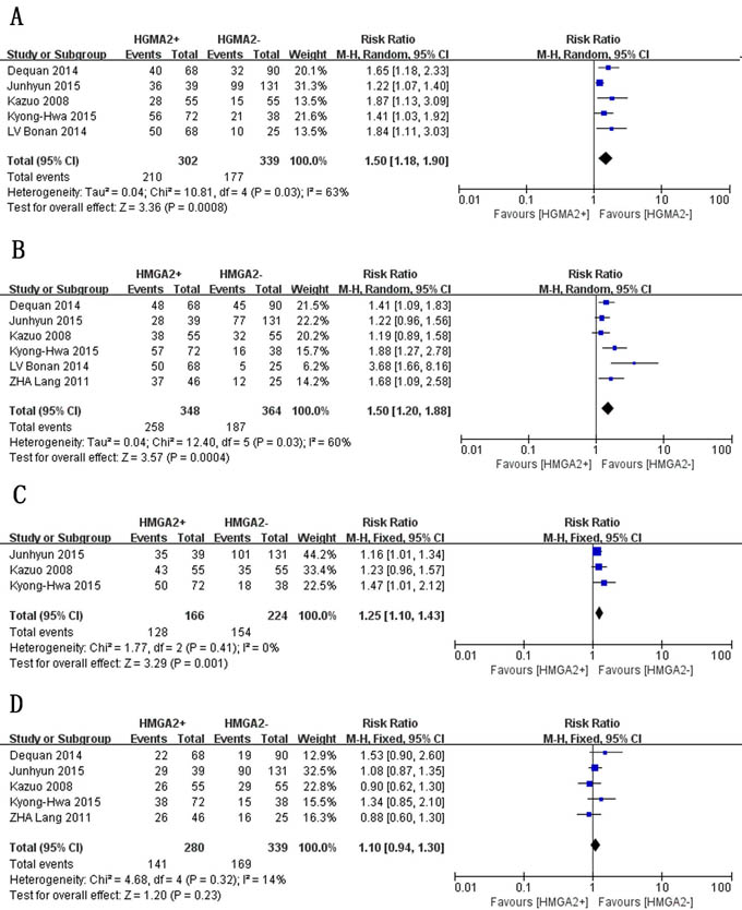 Forest plot of studies evaluating the associations between high HMGA2 expression and clinicopathological parameters.