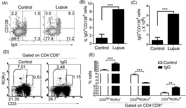 IgG up-regulated thymic CD4