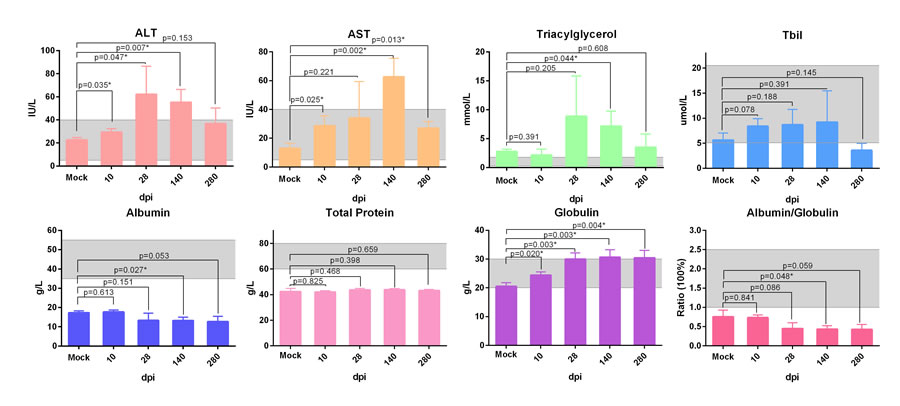 Biochemical detection of serum from ducks infected with DHVA-H.