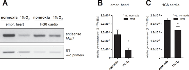 Figure 6: