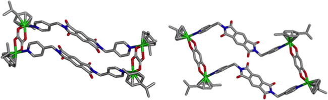Single Crystal X-ray structures of metallacycles 2 and 3.