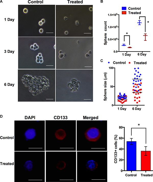 Metallacycle 4 abrogated the sphere-forming ability of glioma stem like cells (U251s).