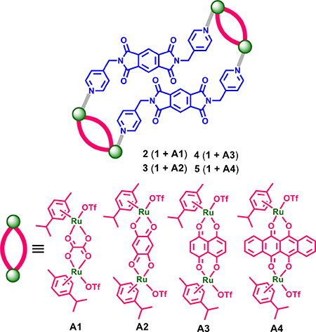 Scheme 2: Self-assembled ruthenium (II) metallacycles 2-5.