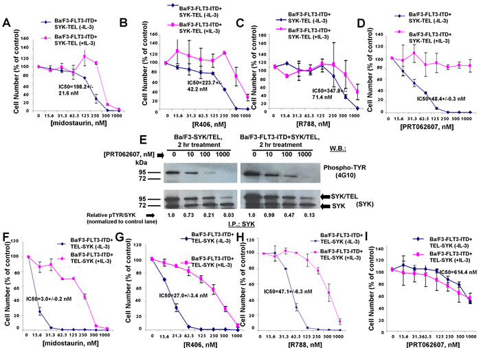 Effects of midostaurin, R406, R788, and PRT062607 on inhibition of proliferation of Ba/F3 cells expressing TEL-SYK or SYK-TEL co-expressed with FLT3-ITD.
