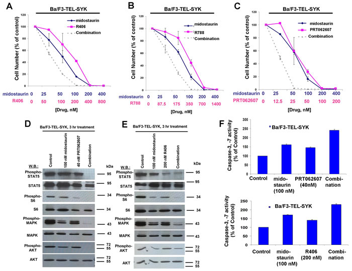 Potentiation of effects of midostaurin against Ba/F3-TEL-SYK cells by R406, R788, and PRT062607.